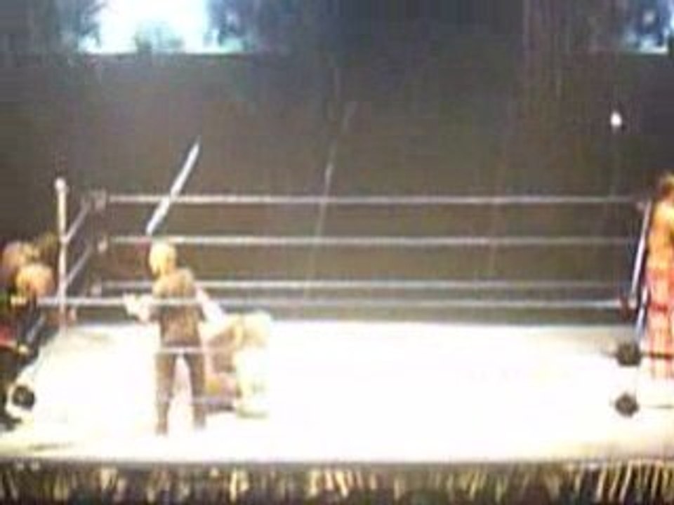 [WWE] Smackdown & ECW Survivor Series NICE -  MVP Jeff Hardy