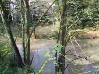 crue a aurec sur loire