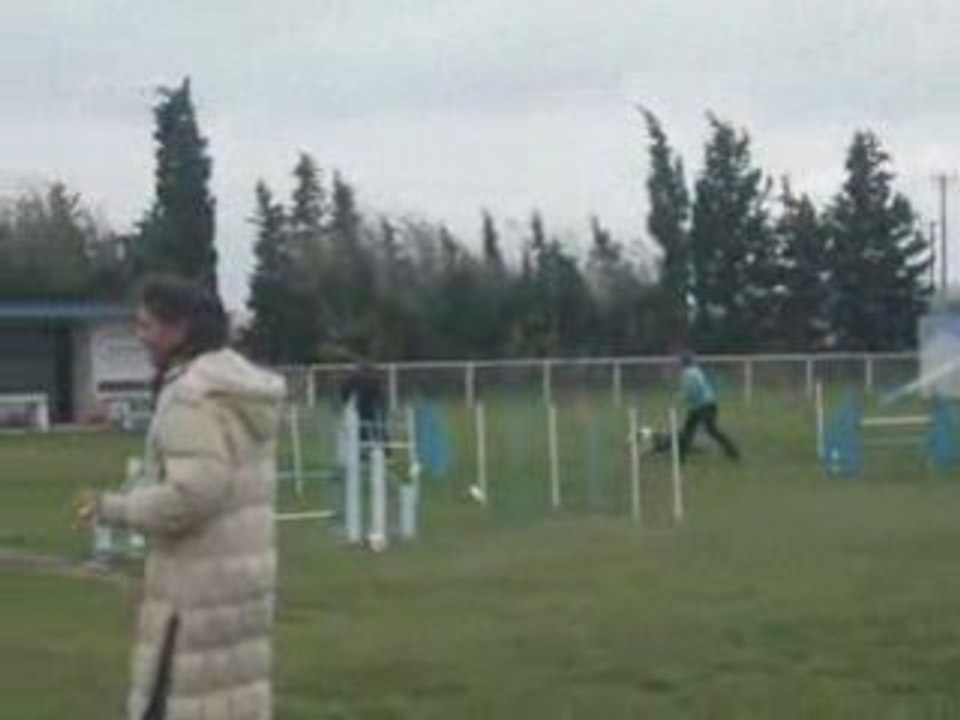 Sunnyjumping