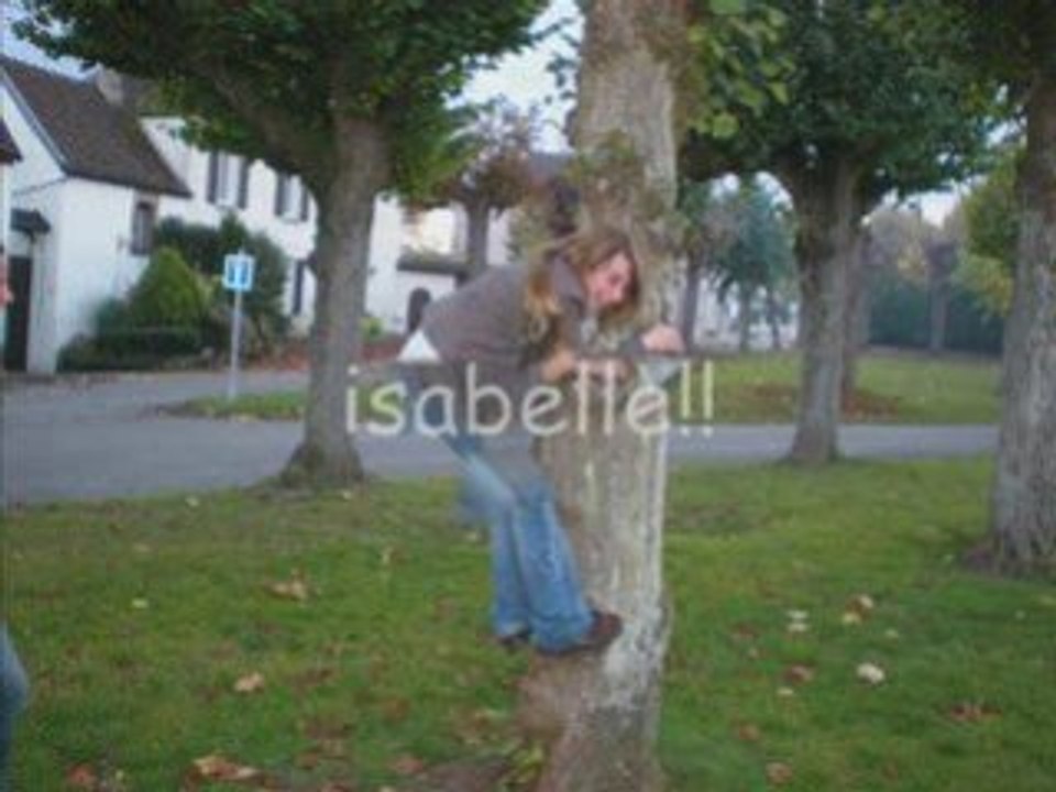 L'arbre