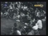 Mandolin Kibbuz Music Group Jordan Valley 1976 מנדולינות