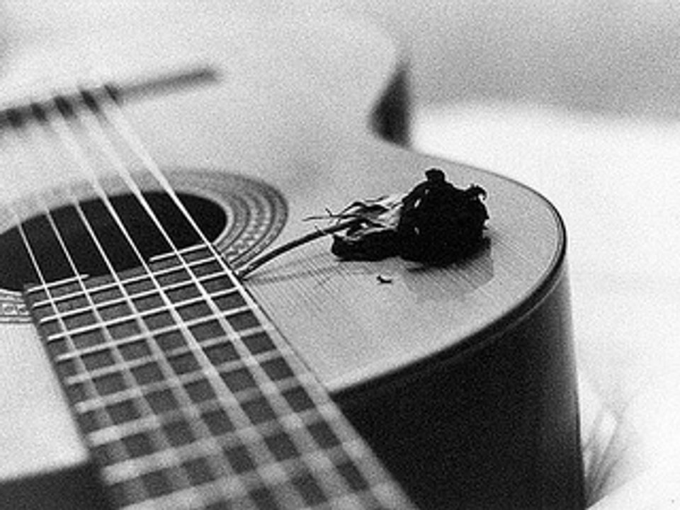 J'ai pleuré sur ma guitare(Johnny Hallyday)