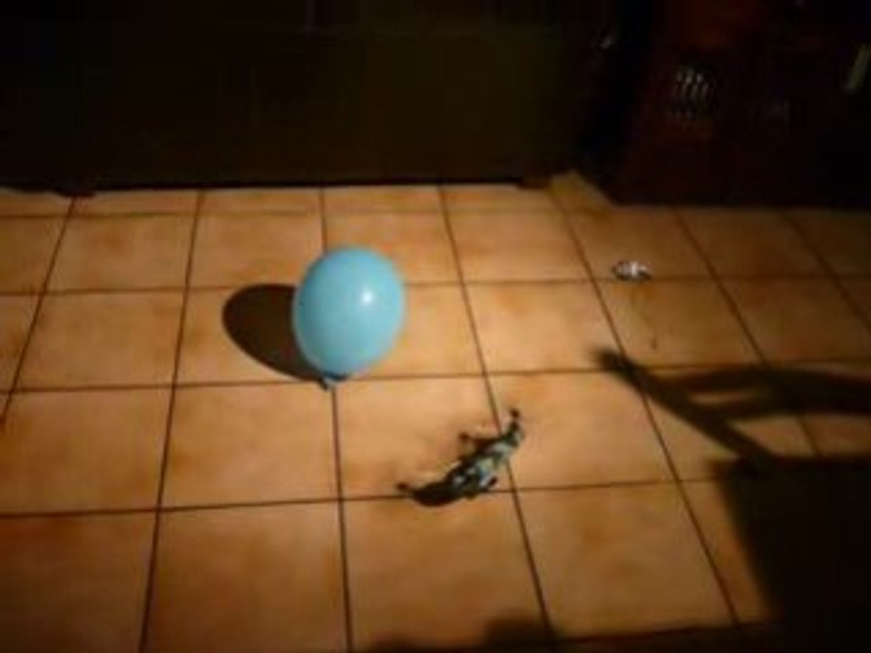 crach helico en pleine tete