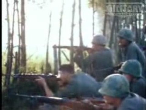 Top Ten Combat Rifles- M14 #10