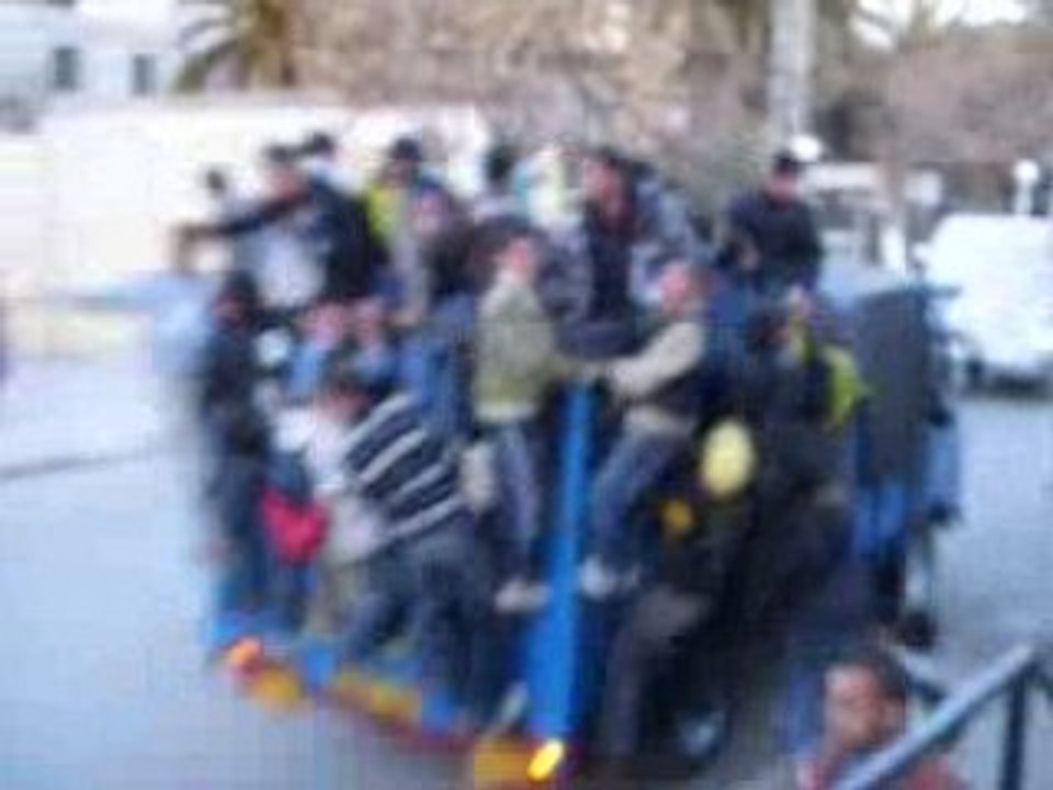 Djarad mahboul Bordj Setif wled safraa