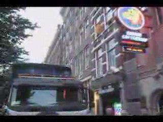 Large Amsterdam grow room busted