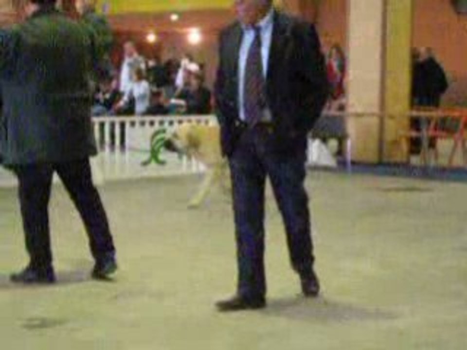 Nantes 26.10.2008 CJF