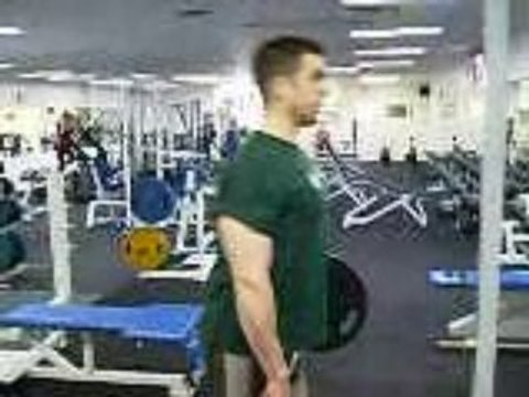 Bent Over rows thealphabody.com
