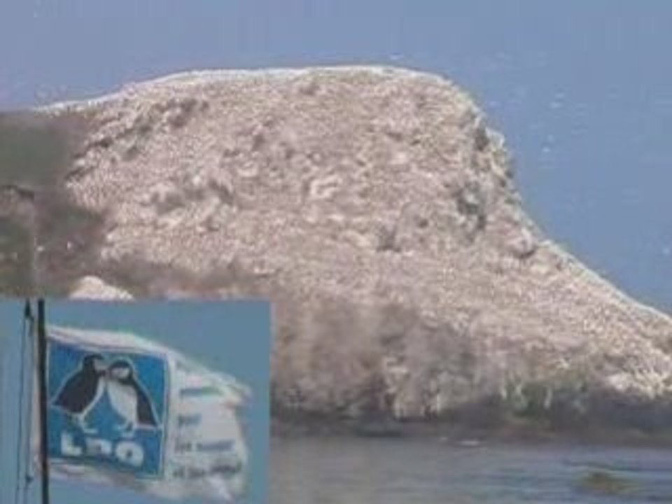 Les Sept îles (Côtes d'Armor)