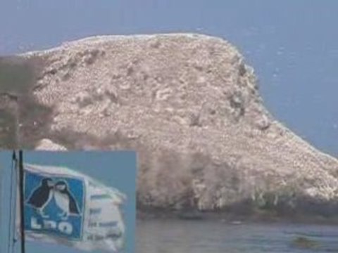 Les Sept îles (Côtes d'Armor)