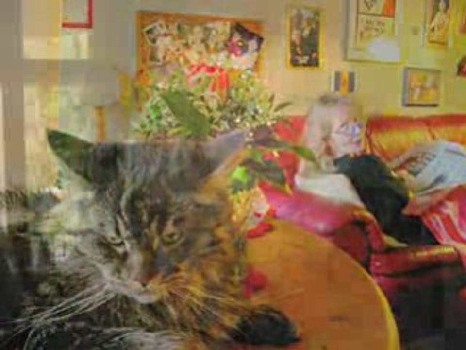 YouTube - Joseline Gassen singt_ _Yummy, Yummy, Yummy_