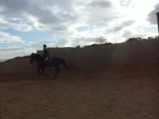 Galop avec Poker avec Martingale 2