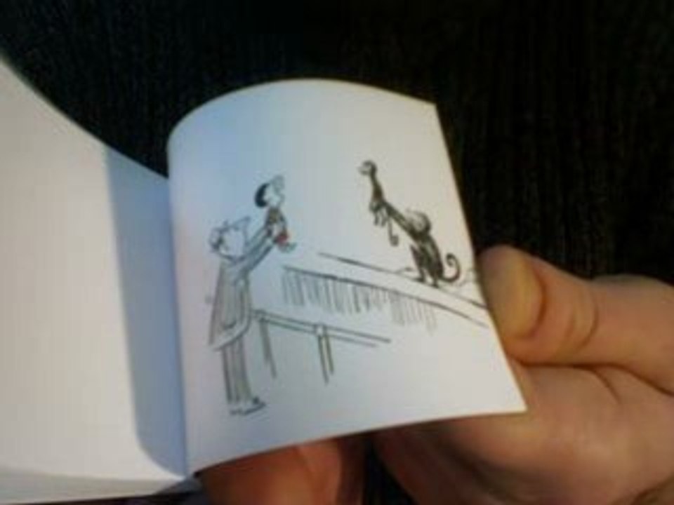 Flip-Book : LE PETIT NICOLAS - Les Singes