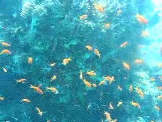 Ramadan Safaga 2 359