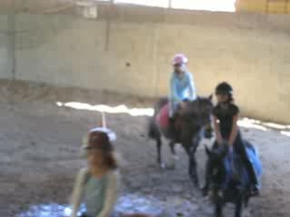 Equitation 008