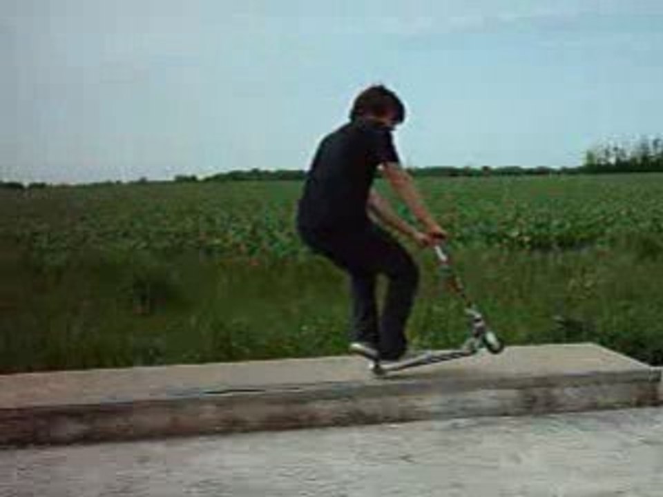 Nicolas Pillot Weeling Whip