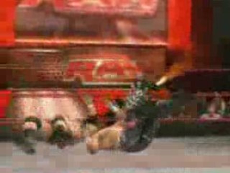 Smackdown vs Raw 2009: Triple H vs Shawn Michaels