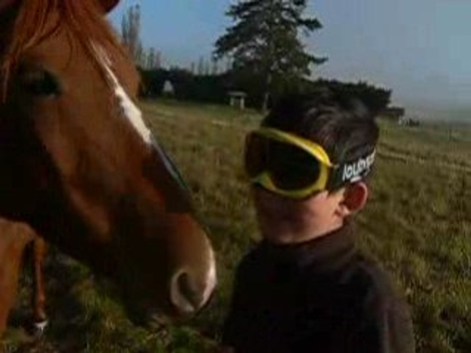 Le cheval du Turystistan