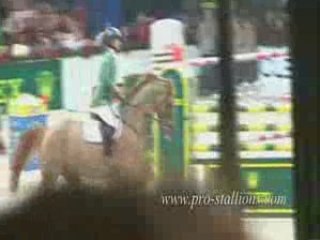 Hommage a Baloubet du Rouet