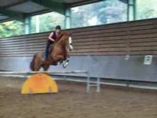 Oriental et moi (Stage 31 Octobre 08)