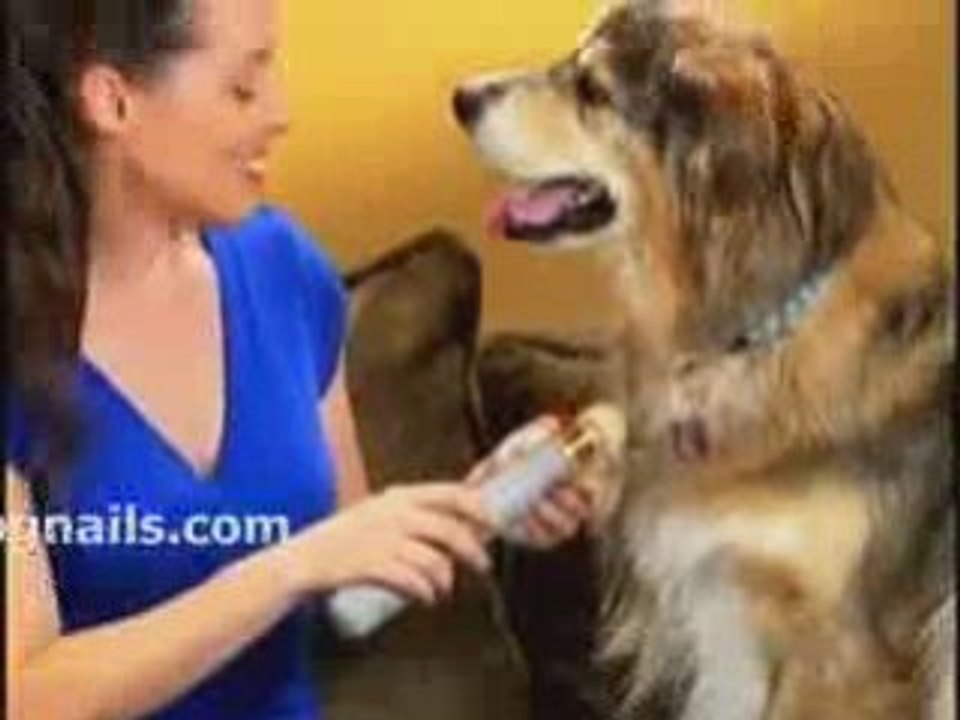 Grinding Dog Nails