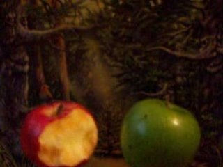 Le film conte de fée (concours ciné cinéma)