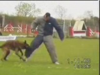 Blade de la Forge aux Sept Flammes