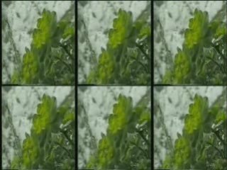 Kali - Zabravi me (remix - by BAHKO 2)