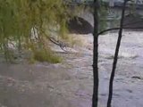 La Loire en crue (Brives Charensac) le 2 novembre 2008