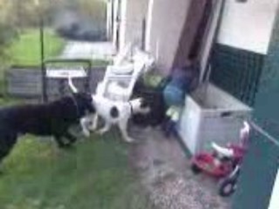 Vidéo0155