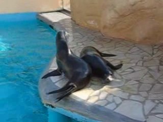 marineland oct08