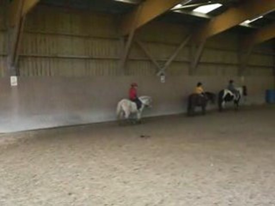 Poney Andreas 5