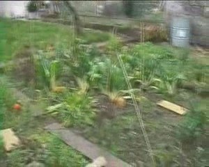 Pubs débiles (édition N°2)