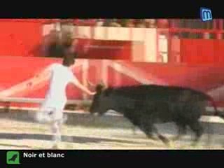 Course Camarguaise :Top 5 corrida