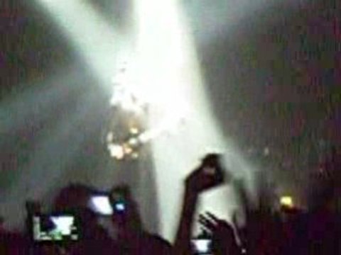 BB Brunes à Bordeaux Wolfman