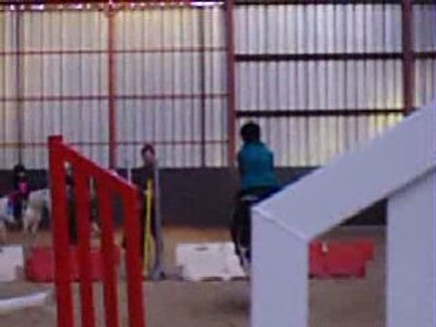 Concours interne 40 cm: Lea B. et Elodie de Lay (02.11.2008)