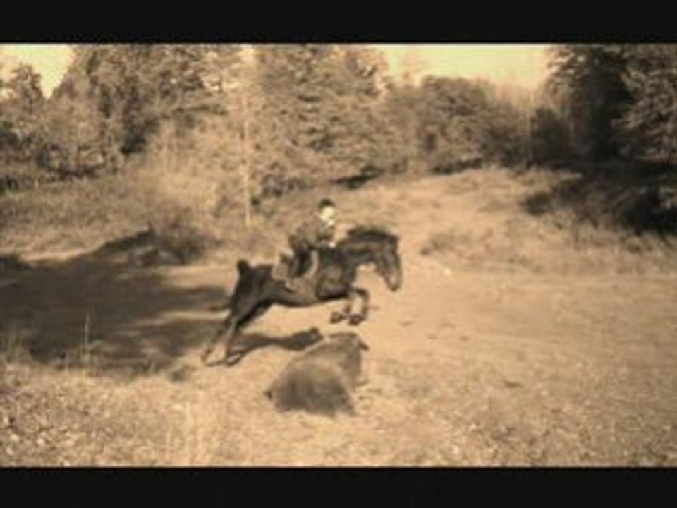 Balade géniale : saut d'un tronc, passage de gué, galop...