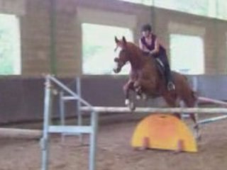 Oriental et moi (Stage du 31 Octobre O8)