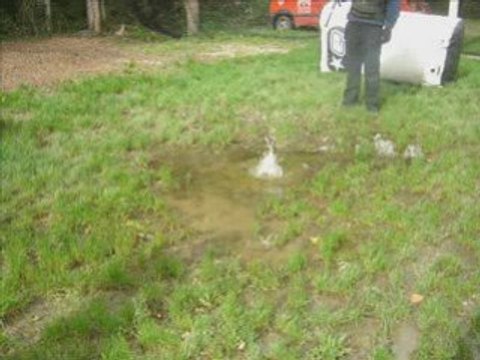 avignon paintball club video