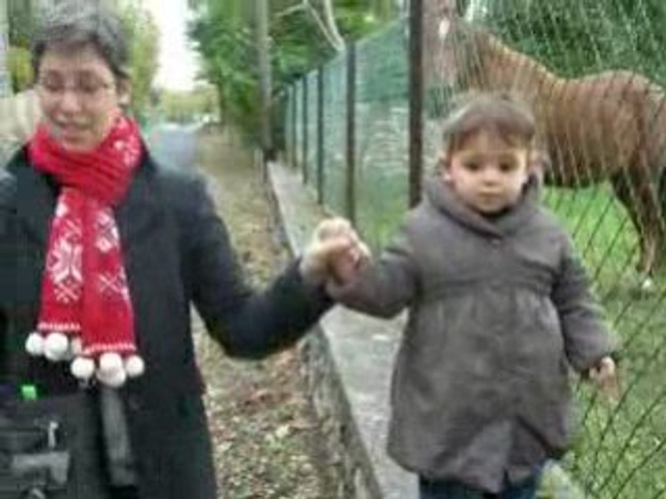 VARENNE NOV 2008 5