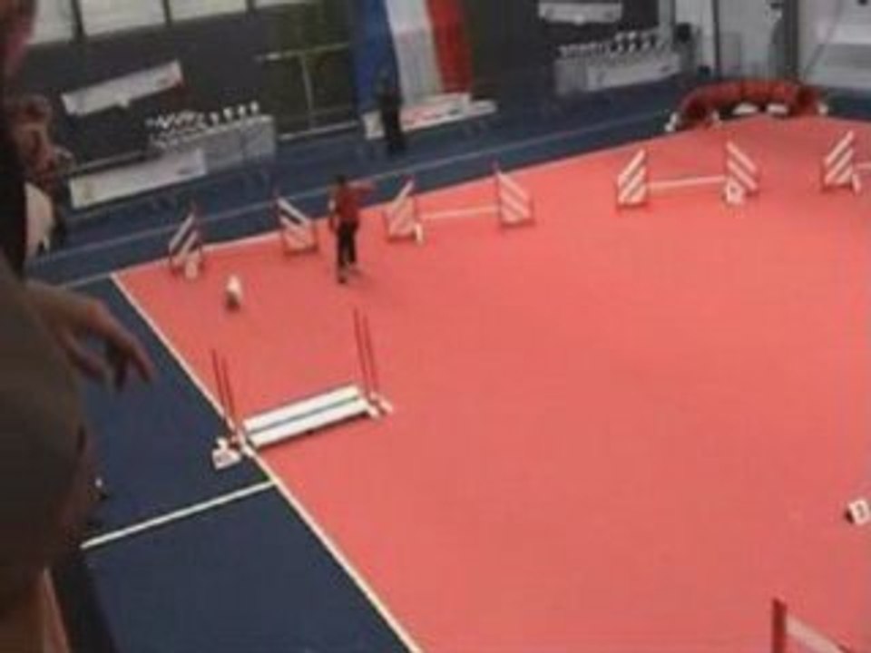 Valy_Manche 2 jumping St Loup Lamairé