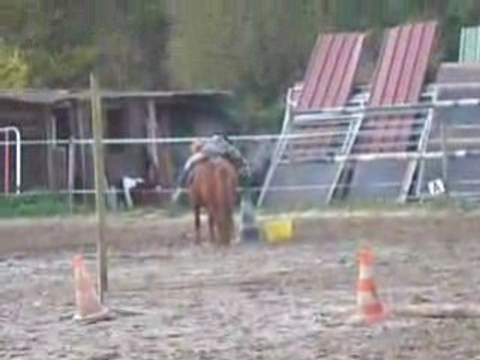 Tony et Nemo Entrainement pour le 16/11/2008