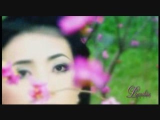 Sa mac tinh yeu - Loan chau ,o