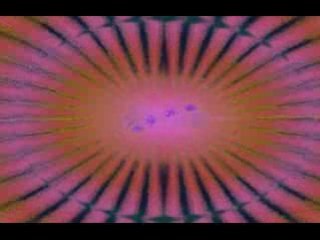 Live in Guantanamo -  micropoint