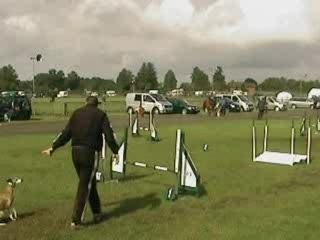 Cranborne - Medium Novice Jumping - Tig