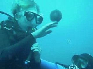 Aron scuba diving Kalypso Bay - Crete