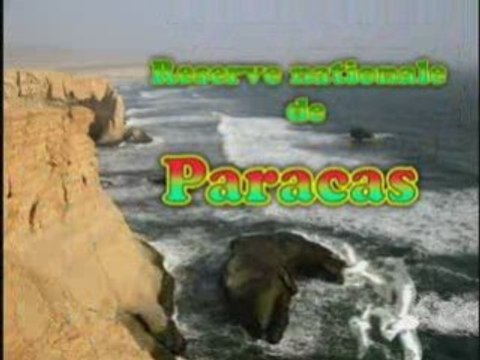 Paracas (Pérou)