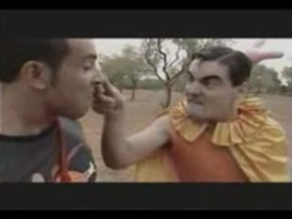 Le cochon d'inde