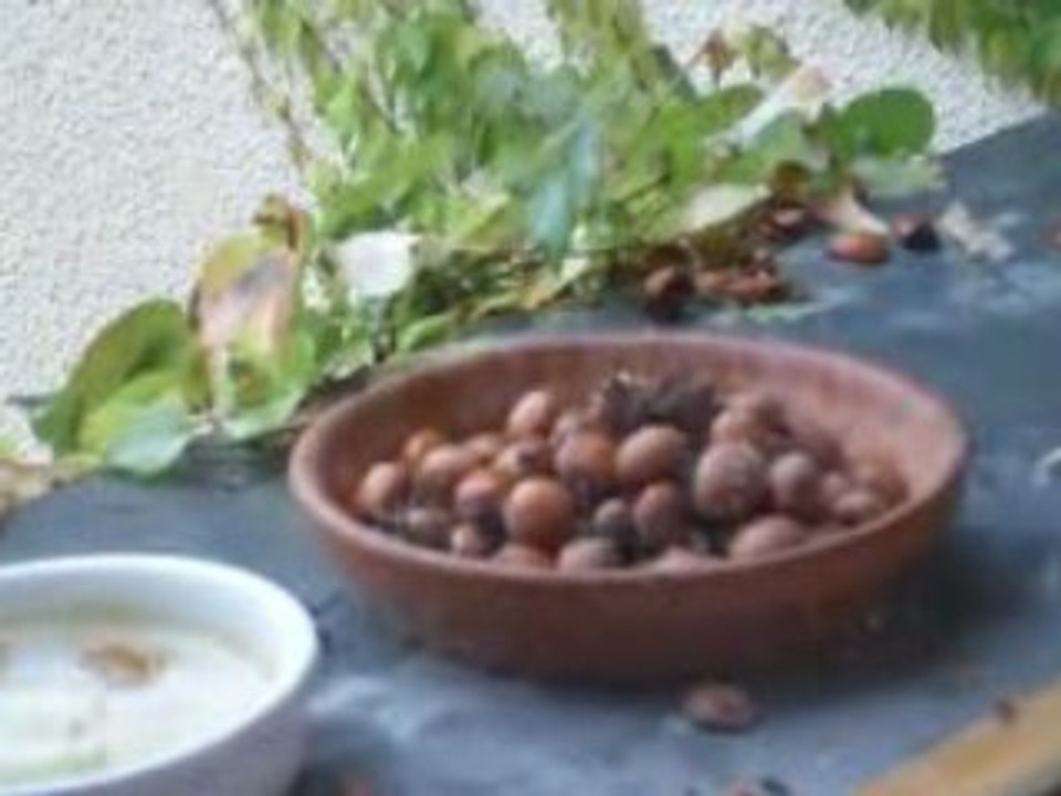 Ecureuil