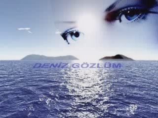 ALTAN CİVELEK-DENİZ GÖZLÜM